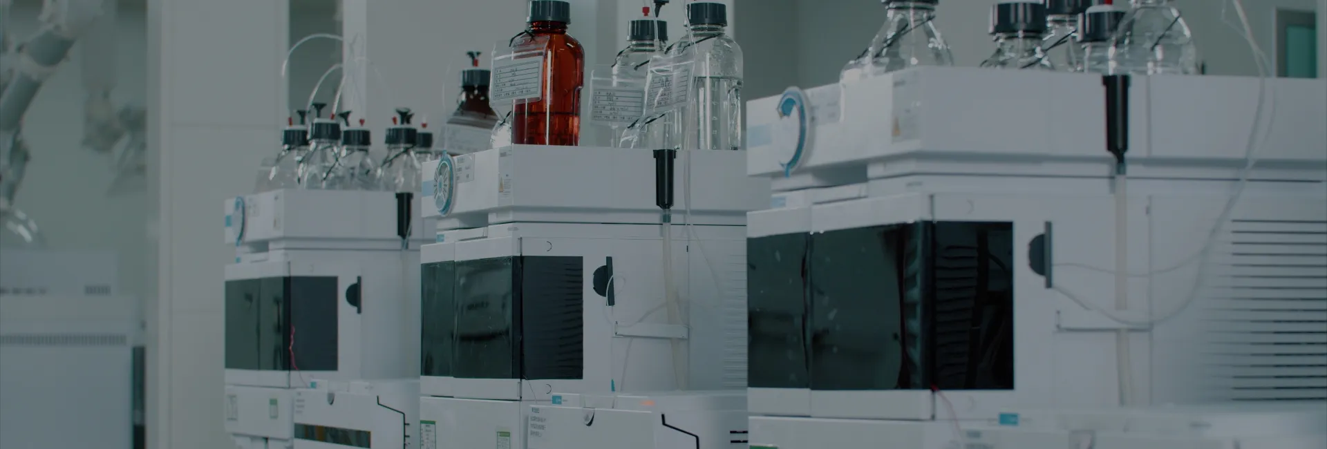 Amino Acids and Derivatives for Peptides & Cell Culture