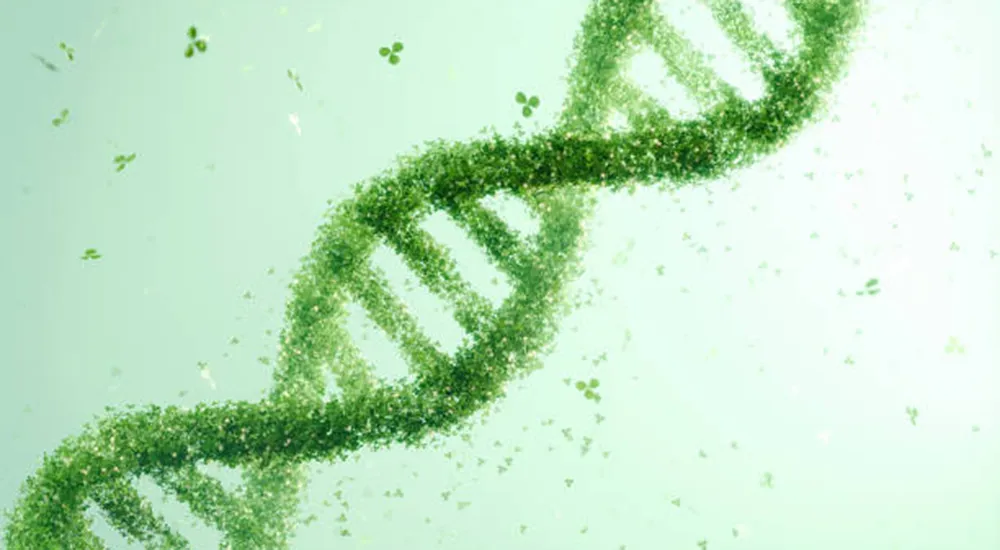 Semaglutide Intermediates