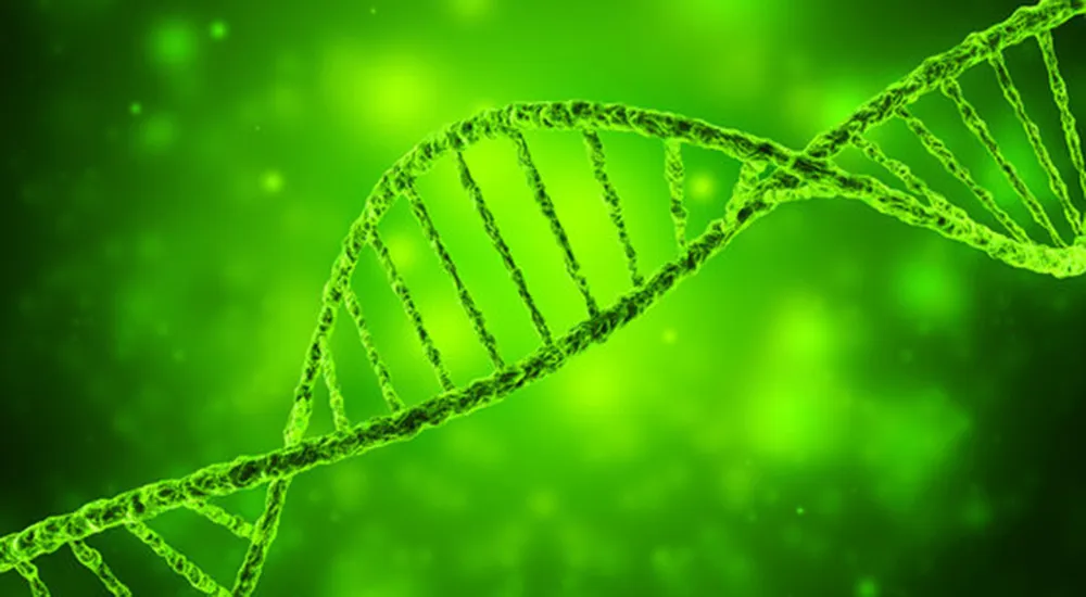 Tirzepatide Intermediates