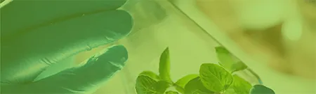 Amino Acids & Derivatives for Cell Culture