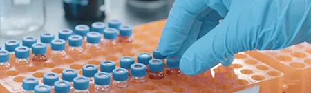 Amino Acids & Derivatives for Peptide Synthesis