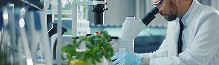 Raw Materials & Intermediates