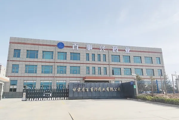 Lanzhou Facility – Main Gate